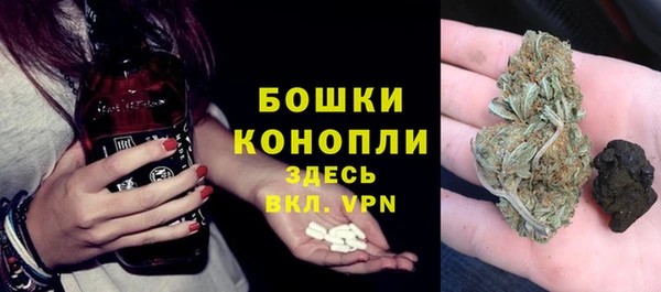 прущие грибы Богородск