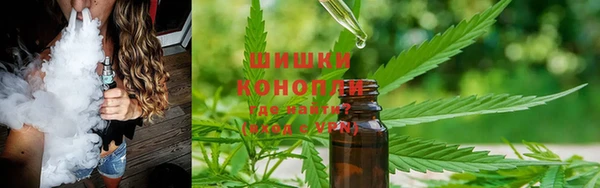 дживик Богородицк
