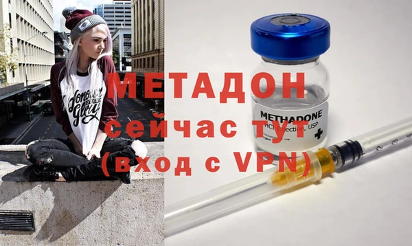 прущие грибы Богородск