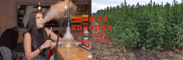 прущие грибы Богородск