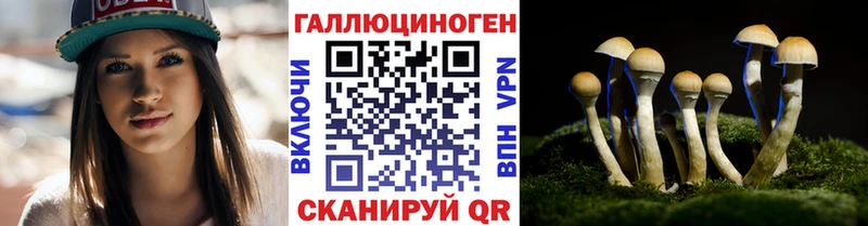 Галлюциногенные грибы MAGIC MUSHROOMS  где купить наркоту  Белгород 